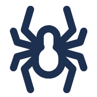 Spiders
